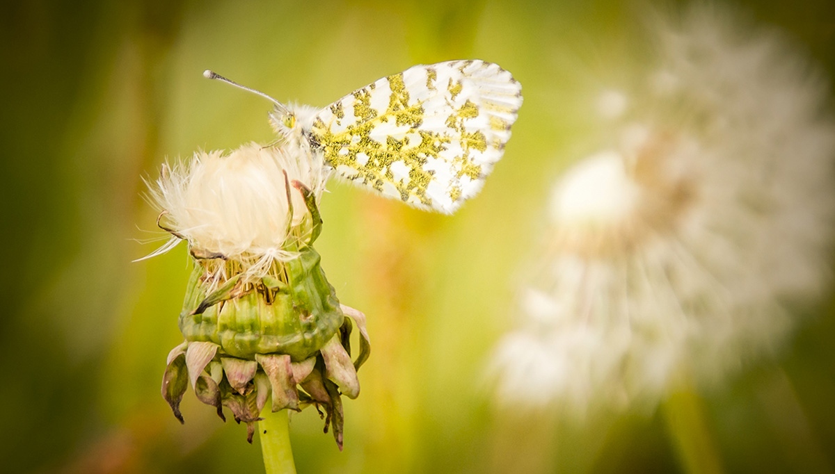 Contact - Natuurbegraafplaats Bos van de Heilige Geest